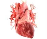 Des essais cliniques humains de haute qualité sont nécessaires pour déterminer les avantages du CBD pour les patients atteints de maladies cardiaques