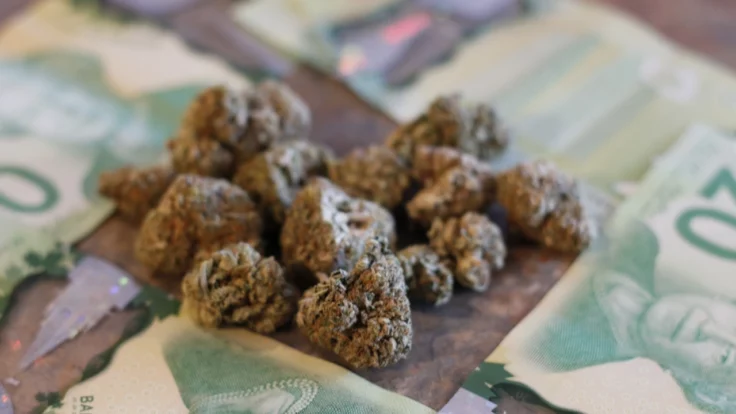 Les ventes canadiennes de cannabis récréatif bondissent de 12 % en juin pour atteindre 426 millions de dollars canadiens