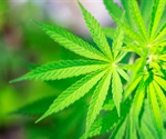 Die Studie stellt einen starken Anstieg der Notaufnahmebesuche im Zusammenhang mit Cannabis bei älteren Erwachsenen fest