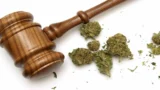 El proceso de licencia de marihuana medicinal de Alabama se detuvo debido a que la audiencia se retrasó