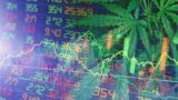 Marihuana-Anbauer Canopy strebt nach Nasdaq-Warnung eine Aktienkonsolidierung an