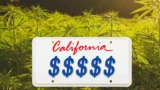 Der Zusammenbruch von Herbl deutet auf größere Auswirkungen auf die kalifornische Marihuana-Industrie hin