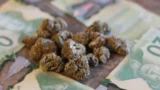 Der Cannabis-Einzelhändler High Tide meldet einen kleinen Verlust und einen positiven freien Cashflow