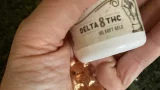 FTC, FDA ding delta-8 THC marques sur des emballages «trompeurs» adaptés aux enfants