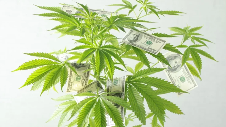 Les ventes de marijuana pour adultes dans l'Illinois dépassent les 140 millions de dollars en juillet
