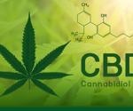 Einfluss von Cannabidiol auf die zelluläre angeborene Immunantwort auf SARS-CoV-2-Gene