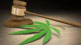 Richter ordnet Auflösung eines mit Wrigley verbundenen Unternehmens für medizinisches Marihuana an
