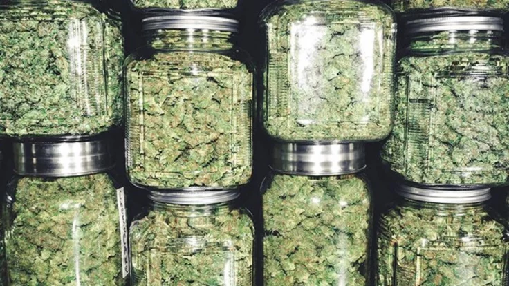 Cannabis-Läden in British Columbia können jetzt Proben von Produzenten erhalten